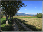 foto Paesaggi alle Pendici del Monte Grappa